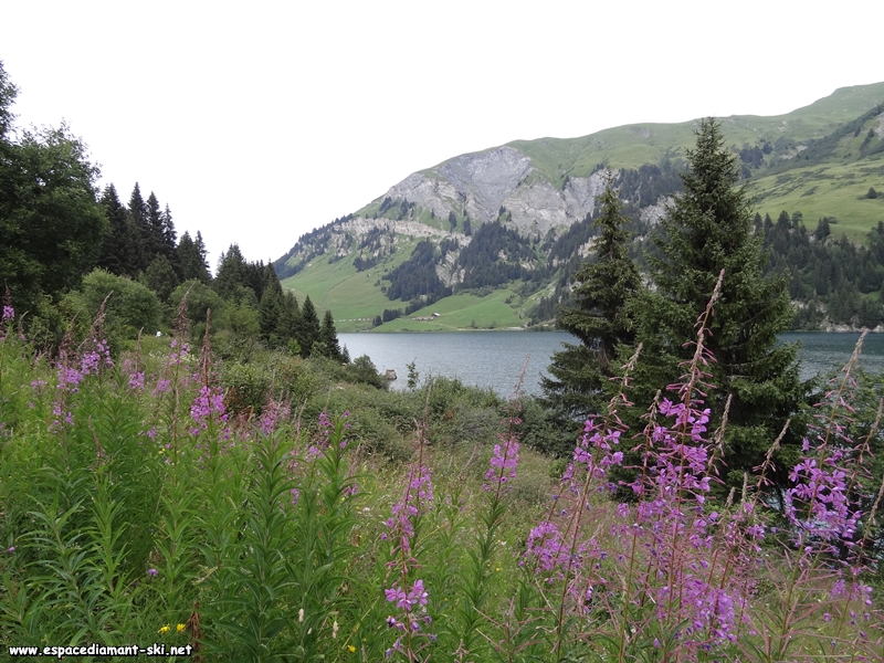 Les barres rocheuses du Mont des Acrays