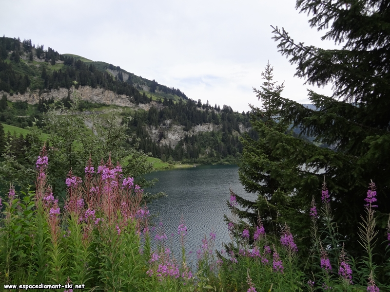 Une dernire vue sur les eaux du lac depuis sa rive nord, avec en arrire plan le massif accident du Mont des Acrays