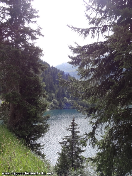Les eaux du lac