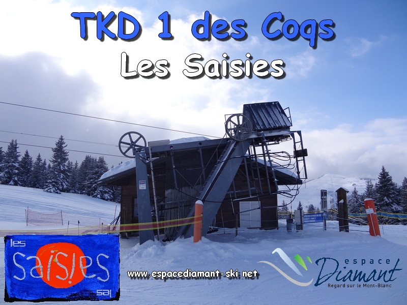 TKD 1 des Coqs