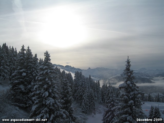 Sapins enneigs avec le Massif du Beaufortain depuis le TS de Brichou