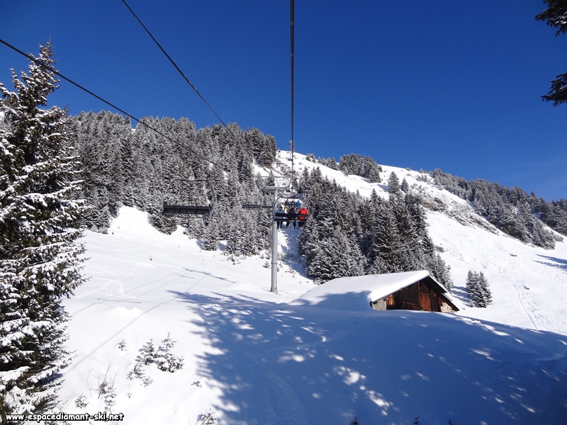 La ligne se redresse et traverse une clairire